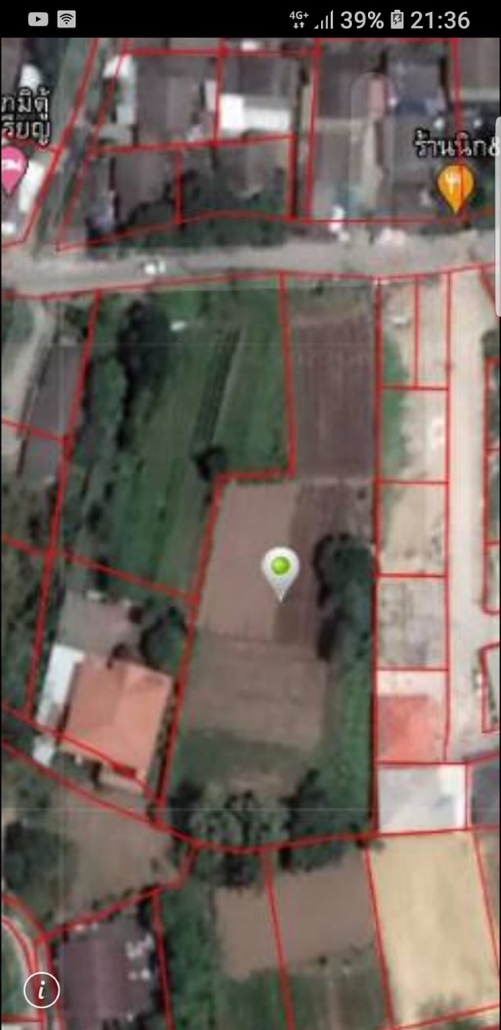 ขายท ด น ท ด นเหมาะสำหร บสร างหอพ ก สร างบ าน แบ งแปลง บ านร องอ อ ต ส นผ เส อ อ เม องเช ยงใหม kumuang properties